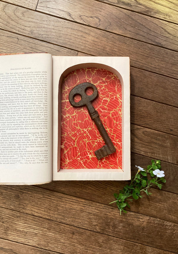 Paper Book Locking Booksafe with Key Lock Secret Hidden Safe Alice In  Wonderland