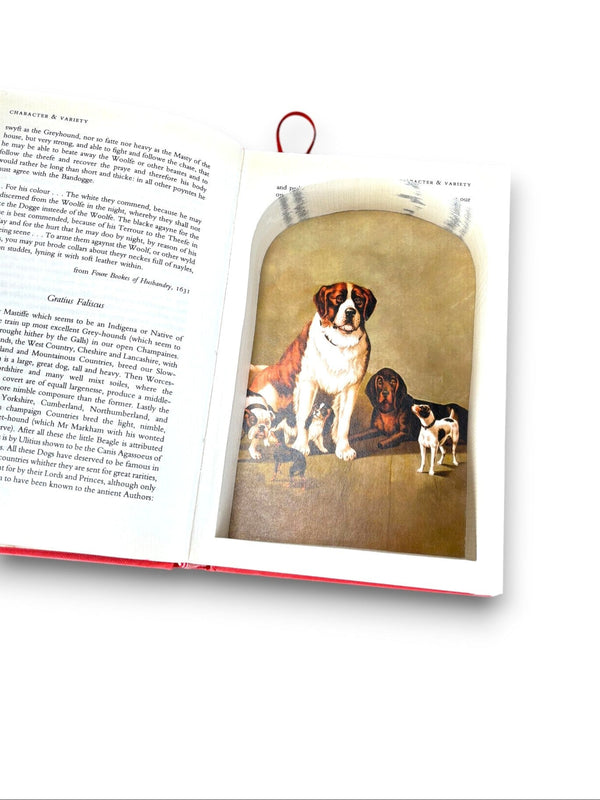 Faithful Friends "Dogs in Life and Literature" - Frank Jackson - Secret Storage Books