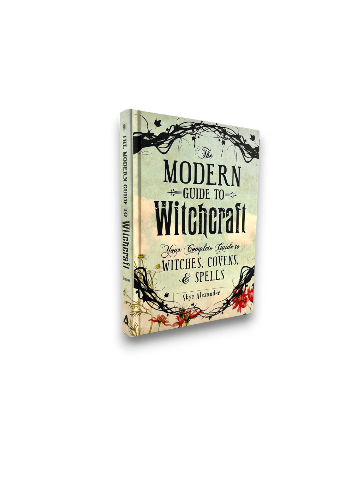 Modern Guide to Witchcraft, The - Skye Alexander - Secret Storage Books