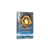 Divergent - Medium Hollow Book Safe - Secret Storage Books